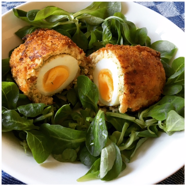 Scotch Salmon Egg